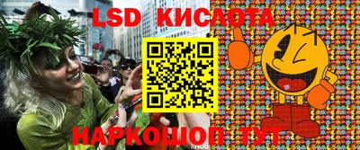 гашик Новозыбков