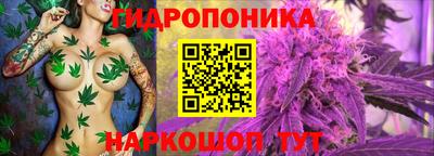 гашик Новозыбков