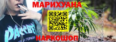 гашик Новозыбков