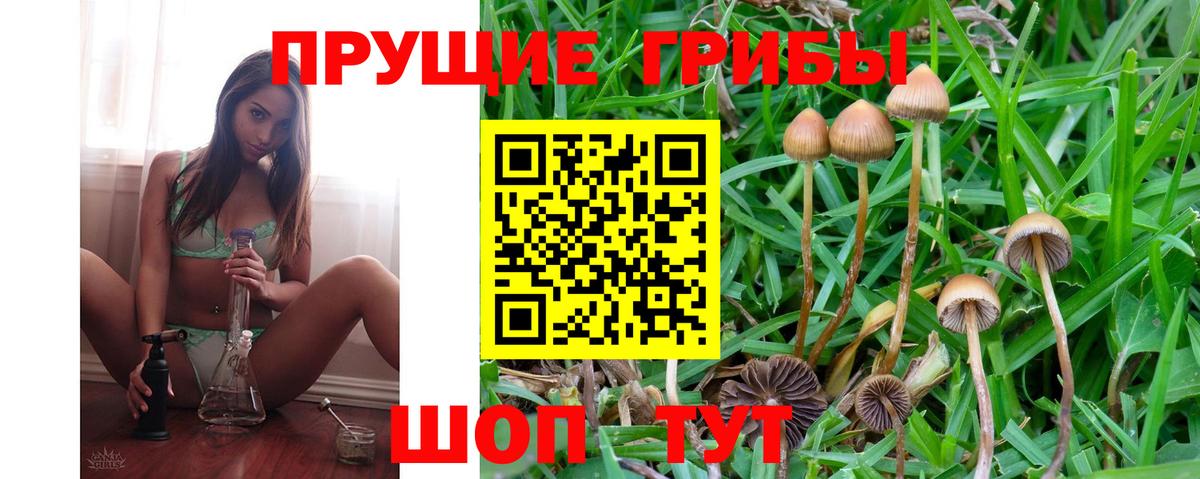 Галлюциногенные грибы GOLDEN TEACHER Топки
